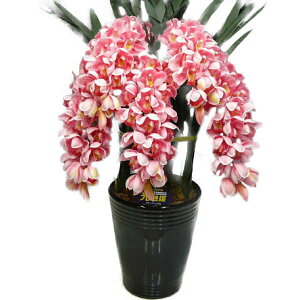 光触媒造花シンビジュームピンク5本立ち