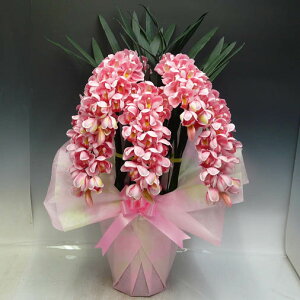 光触媒造花シンビジュームピンク5本立ち