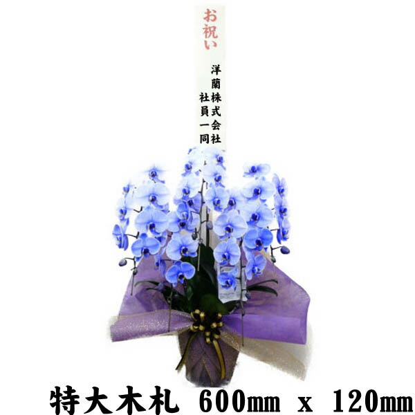 ��Ʊ�����ѡ� �����ڻ� (600mm x 120mm) ñ�Ȥǹ����Ǥ��ޤ��󡣾��ʤȹ�碌�Ƥ���������������