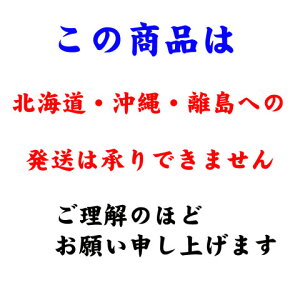 【個人宛配送不可】観葉植物ユッカエレファンティペス青年の樹10号鉢白ラスターポット受け皿付き高さ160〜180cm程度大型インテリアグリーンギフト寒さに強い