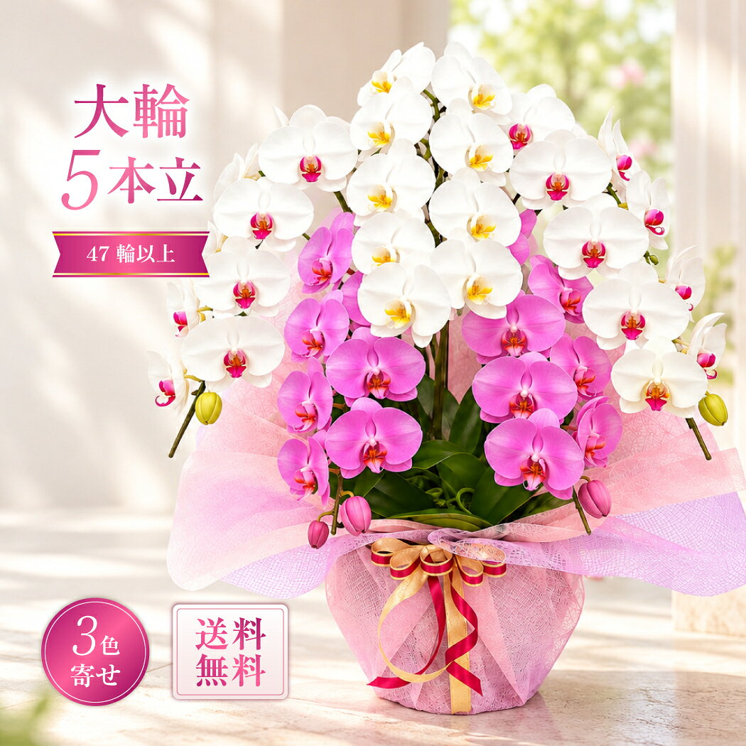大輪 47輪以上 3色寄せ