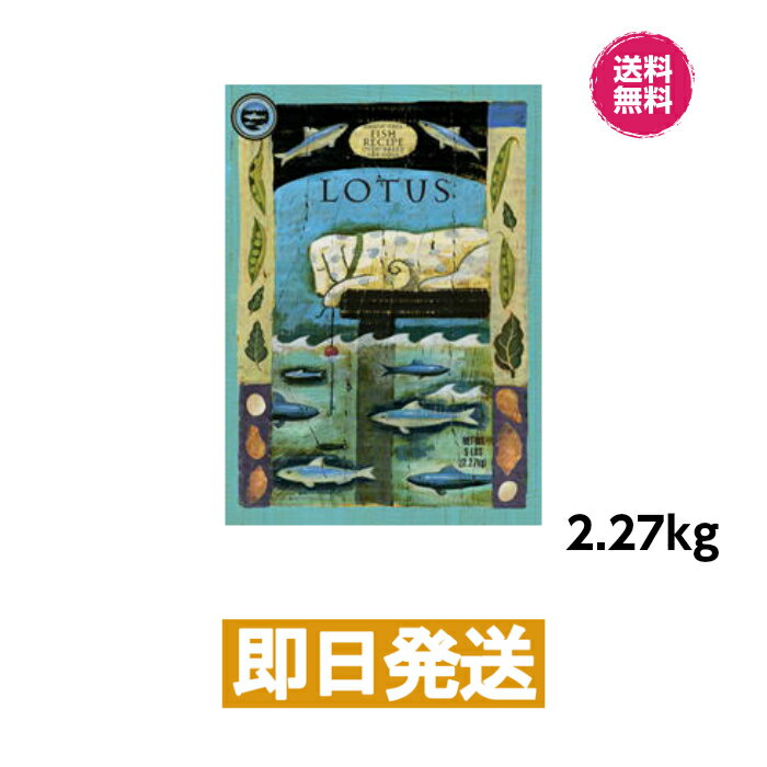  쥤ե꡼ եå쥷(γ)  2.27kg ɥåա LOTUS