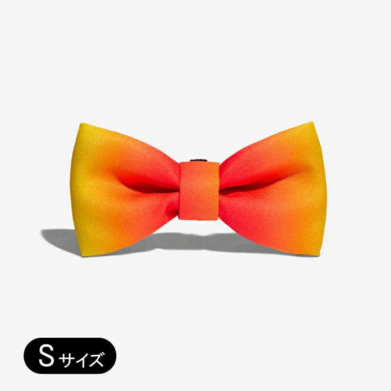 【zee.dog】ジードッグ CITRUS BOWTIE Sサイズ ボウタイ 蝶ネクタイ オシャレ