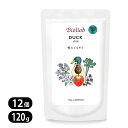 ビオリオーブ ダック ディッシュ 120g 12個セット Bioliob 犬用 ウェットフード 愛犬用栄養補助食 ドッグフード 3950