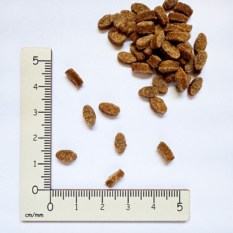 ヤムヤムヤム ドックフード ハイシニア 13+ チキン やわらかドライ 800g 犬 無添加 国産 鶏肉 小粒 yumyumyum ドライフード 老犬 高齢犬 シニア犬 総合栄養食 yoriaidogs-10003080 ヨリアイDOGS サンプル画像3