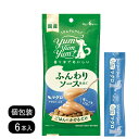 yum yum yum！ ふんわりソース仕立て マグロ 10g 6本 ヤムヤムヤム 栄養補助食品 ソース 犬 シニア