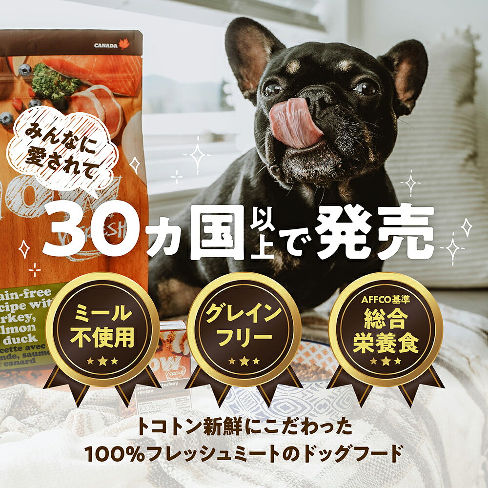 ナウフレッシュ グレインフリー スモールブリード シニア＆ウェイトマネジメント 350g 小粒 ドッグフード NOW FRESH 体重管理 yoriaidogs-10003060 ヨリアイDOGS サンプル画像2