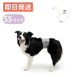 アルファアイコン マナーバンド グレー SSサイズ 超小型犬 お出かけ用に マーキング防止