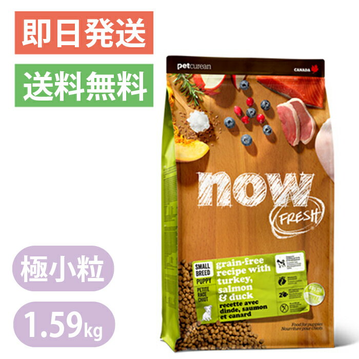 ナウフレッシュ グレインフリー スモールブリード パピー 1.59kg 極小粒 ドッグフード NOW FRESH 子犬のサムネイル