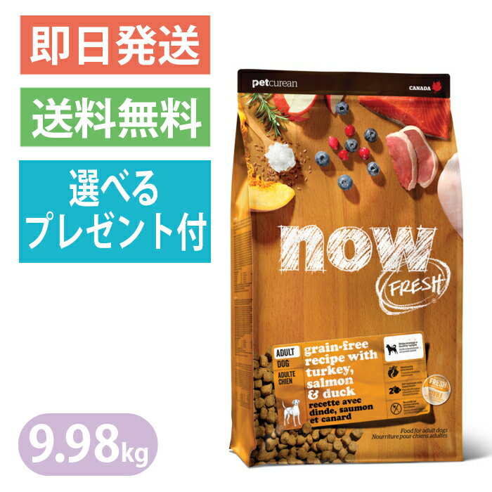 Rakuten - ナウフレッシュ グレインフリー アダルト 9.98kg 普通粒 レギュラー粒 ドッグフード NOW FRESH 選べるプレゼント付き