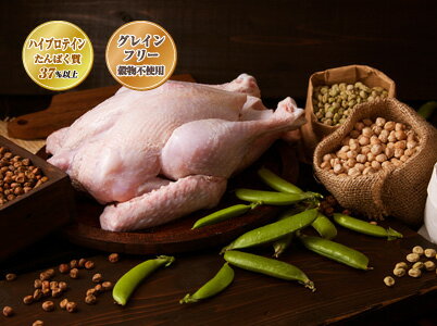 �ꥬ�� �ϥ��ץ��ƥ��� �������� 1.8kg �ܤ�ͥ��㡼������ �ɥå��ա��� RIGALO �Ҹ� ������