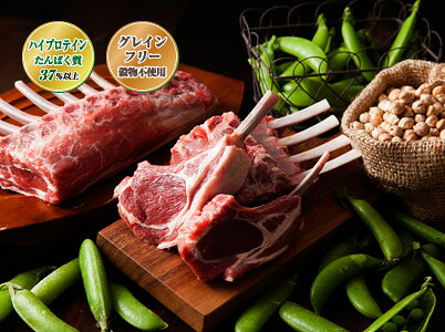 リガロ ハイプロテイン 7歳以上用 ラム 3.6kg ドッグフード RIGALO シニア グレインフリー yoriaidogs-10002452 ヨリアイDOGS サンプル画像2