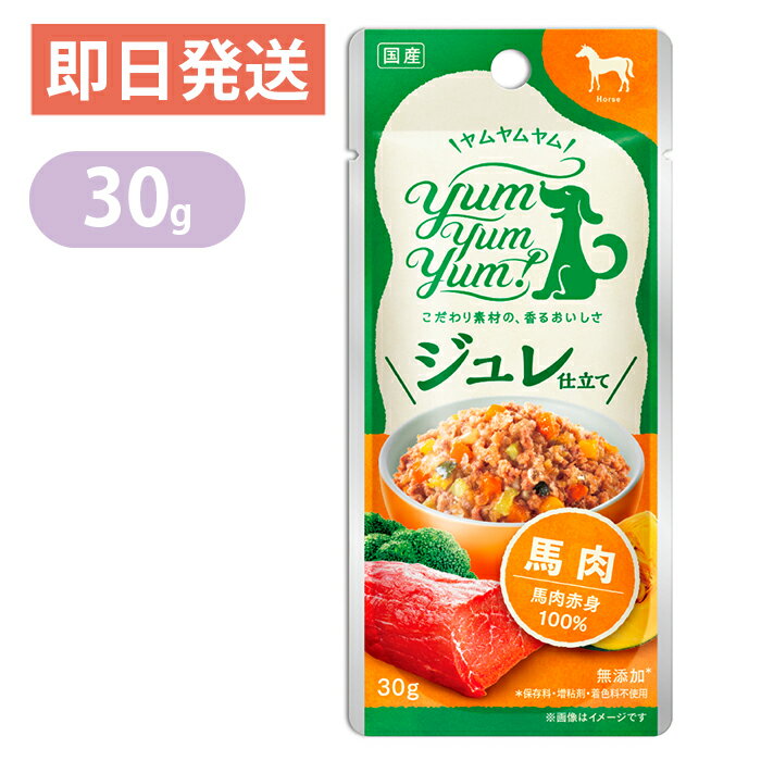 ヤムヤムヤム ジュレ仕立て 馬肉 30g yum yum yum！ 国産 無添加 ドッグフード ウェットフード