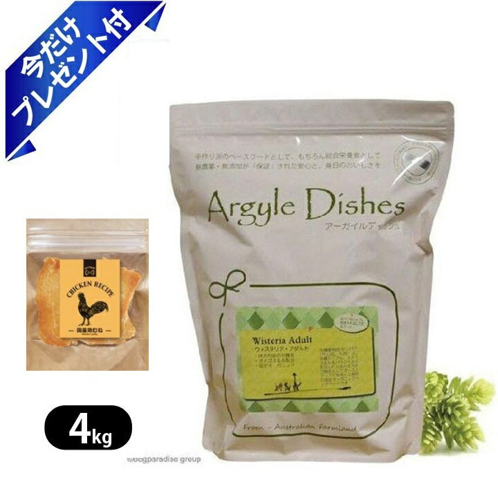 ����������ǥ��å��� �������ƥꥢ��������� 4kg �񻺷ܤ�ͥ��㡼�����դ� �ɥå��ա��� ���� �ڥåȥա��� ������������ܿ� �緿�� �淿�� ������ ����...