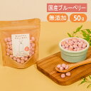 Brunoママのやさしいおやつ 国産 ブルーベリー ボーロ 50g 無添加 犬 おやつ ご褒美 砂糖不使用 小麦粉不使用 やぎ ミルク