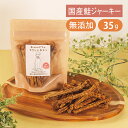 Brunoママのやさしいおやつ 国産 サクッと鮭ジャーキー 35g 無添加 ジャーキー 犬 魚 おやつ シャケ ご褒美