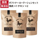 ギフトナー ローテーションセット 馬肉レシピ ×1 チキンレシピ ×2 国産 ドッグフード 無添加 鶏 名古屋コーチン しらす 魚 全年齢 GIFTNER
