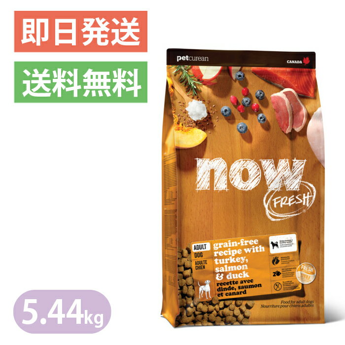Rakuten - ナウフレッシュ グレインフリー アダルト 5.44kg 普通粒 レギュラー粒 ドッグフード NOW FRESH
