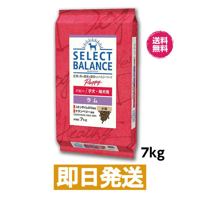 Rakuten - セレクトバランス パピー ラム 小粒 子犬・母犬用 7kg ドッグフード SERECT BARANCE