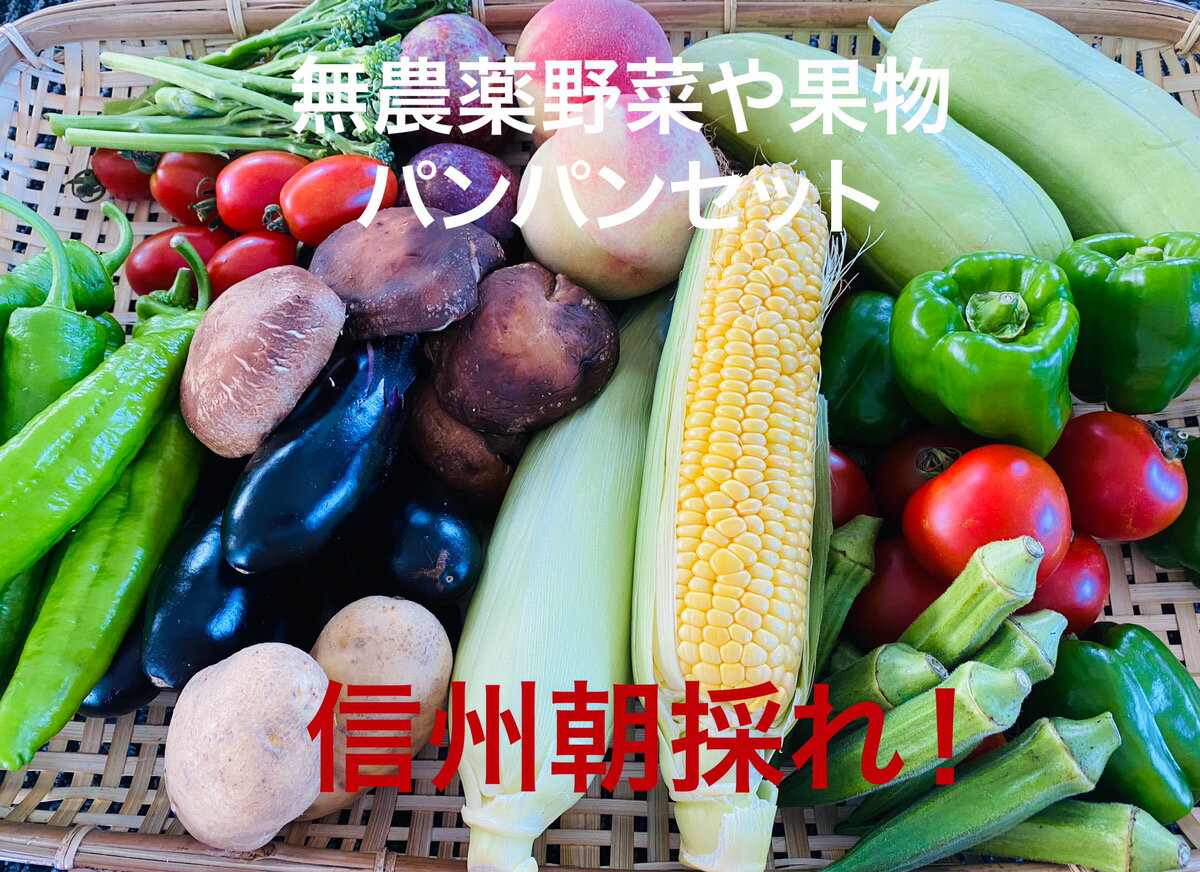 【信州産】朝採れ 農直野菜＆果物詰め合わせセット 無農薬栽培だから安心安全♪