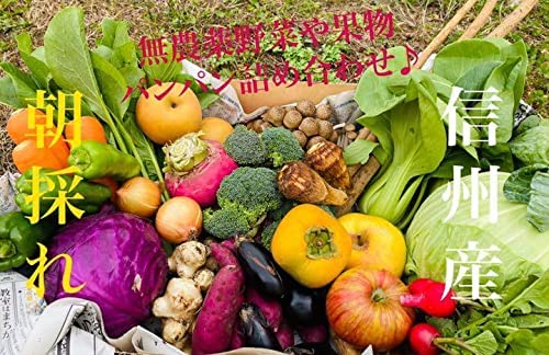 【朝採れ】 信州産 野菜 と 果物 詰め合わせ セット 無農薬 栽培 60サイズとでか卵18個セット