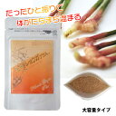金時ショウガプラス 32g 1袋 粉末タイプ お徳用 大容量 乾燥しょうが 甘味料不使用 毎日の食事に 身体を温める 手軽 快適生活クラブ