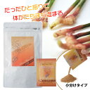 金時ショウガプラス 16g (1g×16袋入) 粉末 小分け 乾燥しょうが 金時ショウガ末含有食品 甘味料不使用 毎日の食事に 身体を温める 手軽 快適生活クラブ