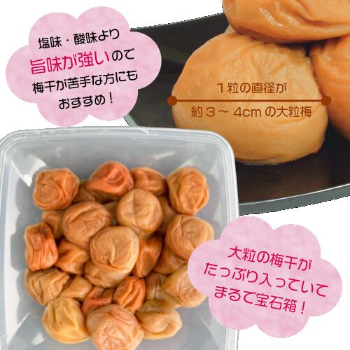 和歌山県 JA紀南　紀州完熟　南高梅干　はちみつ味　1パック　600g　塩分8％　徳用　大粒梅　梅干し　和歌山