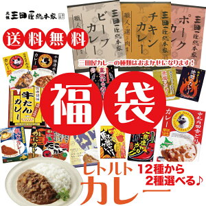 【送料無料】【内祝い ギフト】【メール便】12種から選べる!名物カレー 2個福袋【三田屋 十勝清水牛 ホエー豚 激辛カレー 牛タン ほたてカレー レトルト 詰め合わせ ご当地 北海道 カレー】【お取り寄せ 北海道 道産 お試しセット 食べ比べ カレー プチギフト】