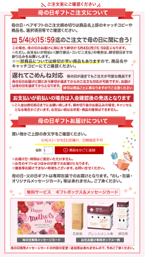 【送料無料】【母の日 ギフト 遅れてごめんね】カーネーション鉢植え【カーネーション 鉢植え 5号 母の日 カーネーション 5号鉢 ギフト お花 かわいい 可愛い おしゃれ 母の日 定番 カーネーション 人気 母の日 鉢花 花】【母の日 プレゼント】【ご注文 5/11迄】