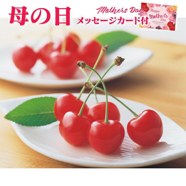 【遅れてごめんね】母の日 プレゼント 山形県産ハウスさくらんぼ佐藤錦（144g）チョコ箱入り【母の日ギフト 母の日 プレゼント 母の日 フルーツギフト 母の日 プレゼント フルーツ さくらんぼ 佐藤錦 さくらんぼ 母の日ギフト 母の日 送料無料】【注文締切 5/13 23:59】