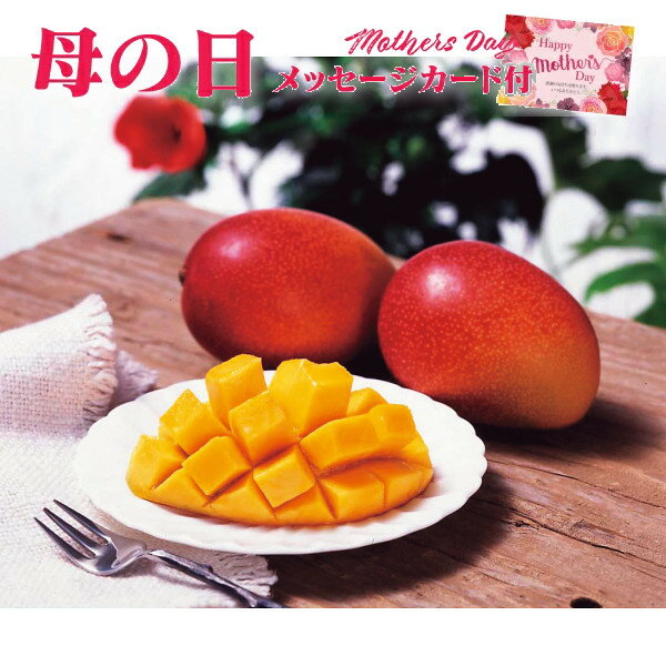 母の日 プレゼント 宮崎県産　マンゴー1玉（300┣g┫）【母の日ギフト 花以外 母の日 プレゼント 母の日 フルーツギフト 母の日 プレゼント フルーツ 宮崎県産 マンゴー 母の日ギフト 母の日 送料無料】【注文締切 5/7 23:59】のサムネイル