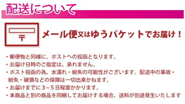 予約販売開始【メール便 送料無料】メリーチョコレート クリスマスマジック【2021 クリスマスプレゼント 子ども アドベントカレンダー お菓子 クリスマス お菓子 詰め合わせ 子供 Mary チョコレート 人気 ブランド スイーツ メリー クリスマス チョコレート 個包装】