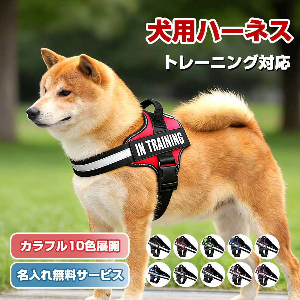 Rakuten - 【名入れ可】犬 ハーネス 名前 胴輪 単品 名入れ イニシャル 簡単装着 引っ張り防止 抜けない 小型犬 中型犬 大型犬 かわいい 散歩 お出かけ アウトドア 迷子防止 通気性 ナイロン マジックテープ ハンドル付き