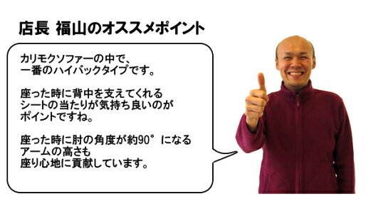 【カリモク正規品】左肘シェーズロング2点セットUT7328H381/UT7349H381