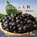 冷凍 しじみ 大粒 2kg 涸沼産 (砂抜き済み) 旨みが凝縮!濃厚なしじみの出汁! お中元