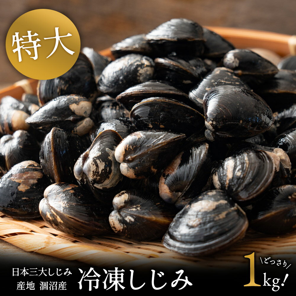 初回限定 冷凍 送料無料 島根県 宍道湖産 大粒 Lサイズ450g 中粒 Mサイズ450g 砂抜き済み 漁師直送 シジミ 味噌汁 用 汁 お吸い物 ヤマトシジミ 贈答 贈り物 国産 天然 ギフト オルニチン 亜鉛 クラムチャウダー 二日酔い 高級 お鍋 貝 産直 大竹屋