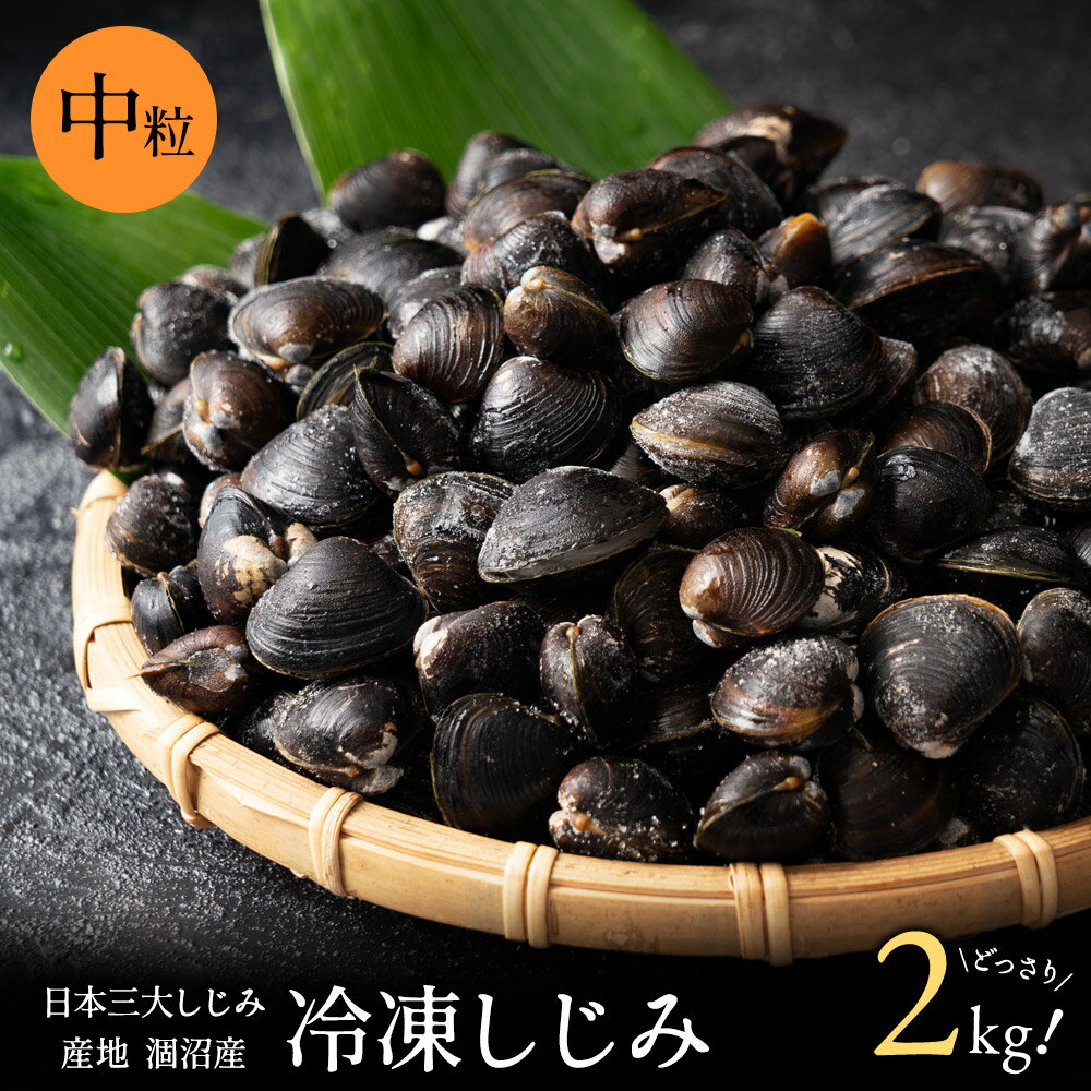 冷凍 しじみ 中粒 2kg 涸沼産 （砂抜き済み 1kg×2