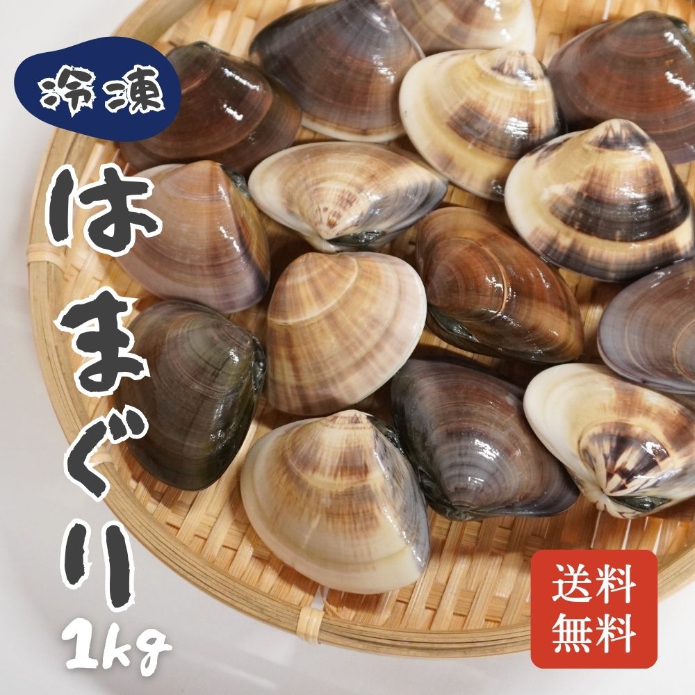 国産 冷凍 はまぐり 1kg 砂抜き済み 送料無料 蛤 ハマグリ 貝 ギフト お吸い物 味噌汁 酒蒸し お食い初め 栄養 料理 レシピ 調理 お取り寄せ グルメ【日付指定不可】