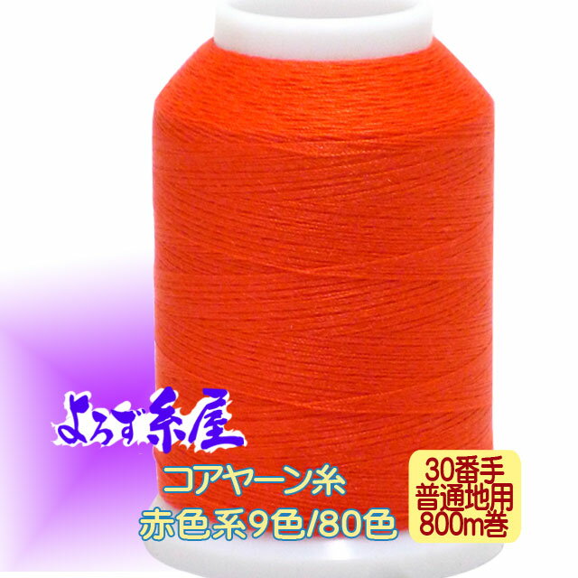  䡼 ѡ30ּ/󴬡800m/ֿ