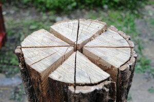 スウェーデントーチ通販格安セール情報 楽天 通販