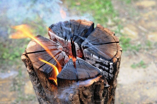 スウェーデントーチ通販格安セール情報　楽天　通販