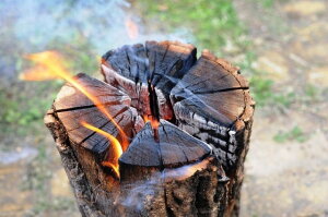 スウェーデントーチ通販格安セール情報 楽天 通販