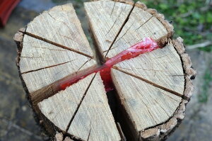 スウェーデントーチ通販格安セール情報 楽天 通販