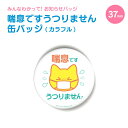 小ぶりでかわいい お知らせ 缶バッジ 丸型37mm (喘息です うつりません カラフル) 《母の日 2025 おしゃれ グッズ 小さい 缶バッジ かわいい プレ...