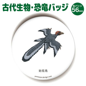 Images Of 始祖鳥 Japaneseclass Jp Images Of 始祖鳥 Japaneseclass Jp