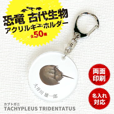 【限定特価 計2000円で送料半額 名入れ 】恐竜 古代生物 アクリル キーホルダー カブトガニ （ 両面 ）《 ダイナソー ジュラシック オリジナル 名札 おもしろ 面白 名前入れ 保育園 幼稚園 入園 入学 卒業 プレゼント ギフト 記念品 敬老の日 土産 》