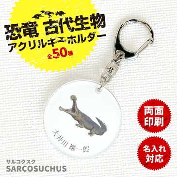 【限定特価 計2000円で送料半額 名入れ 】恐竜 古代生物 アクリル キーホルダー サルコクスク （ 両面 ）《 ダイナソー ジュラシック オリジナル 名札 おもしろ 面白 名前入れ 保育園 幼稚園 入園 入学 卒業 プレゼント ギフト 記念品 敬老の日 土産 》