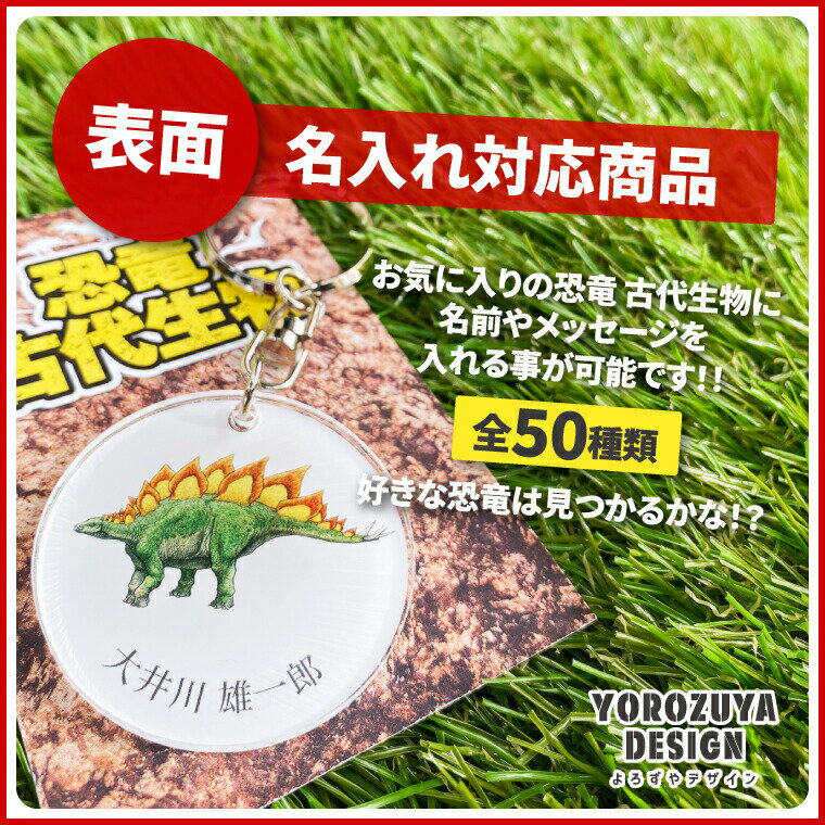 【SS限定特価 計2000円で送料半額 名入れ 】恐竜 古代生物 アクリル キーホルダー メガロドン （ 両面 ）《 ダイナソー ジュラシック オリジナル 名札 おもしろ 面白 名前入れ 保育園 幼稚園 入園 入学 卒業 プレゼント ギフト 記念品 敬老の日 土産 》