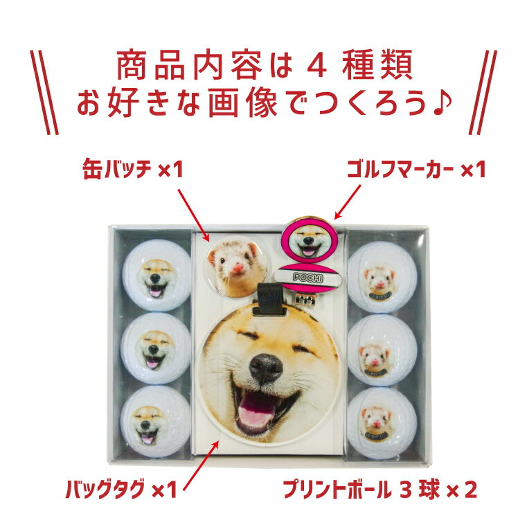 【1000円以上で送料無料】【 写真 名入れ 対応 】大好きな ペット の写真で作る オリジナル ゴルフ用品セット （ 複数デザイン対応 / 6球 ）《名入れ 文字入れ メッセージ対応 おもしろ ゴルフ ギフト おしゃれ かわいい 父の日 母の日 七五三 節句 入園 入学 卒業 卒団 》